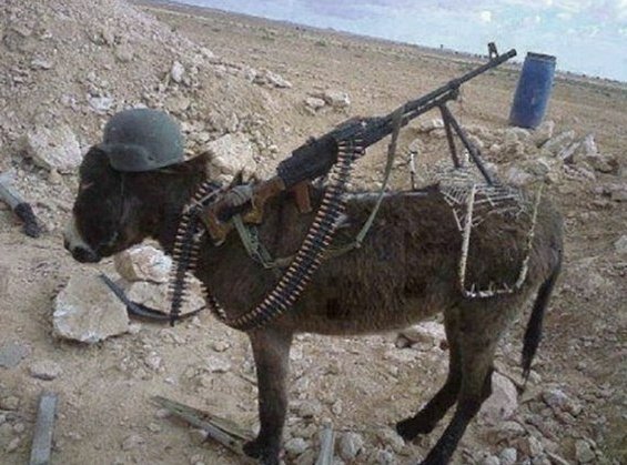 Suriye’de HTŞ Yönetimi: Kaçınılmaz Sonun Eşiğinde Bir Yapı  (Mehmet Güzel)