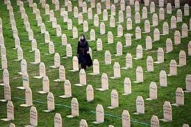 Halepçe Katliamı: Elma Kokusunun Taşıdığı Ölüm (Şükriye Ercan)