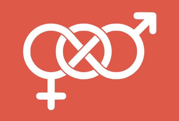 Kutsal Düzen ve Toplumsal Cinsiyet: Doğallaşmış İş Bölümünün Tarihsel İnşası ve Bütüncül Perspektif (Haydar Avşar)